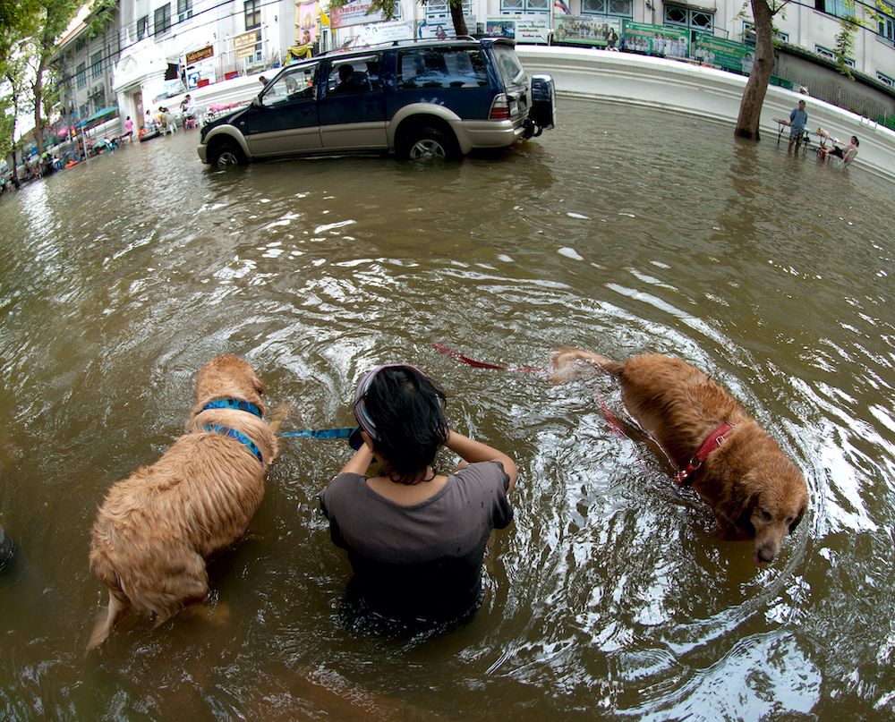 The Cone of Uncertainty